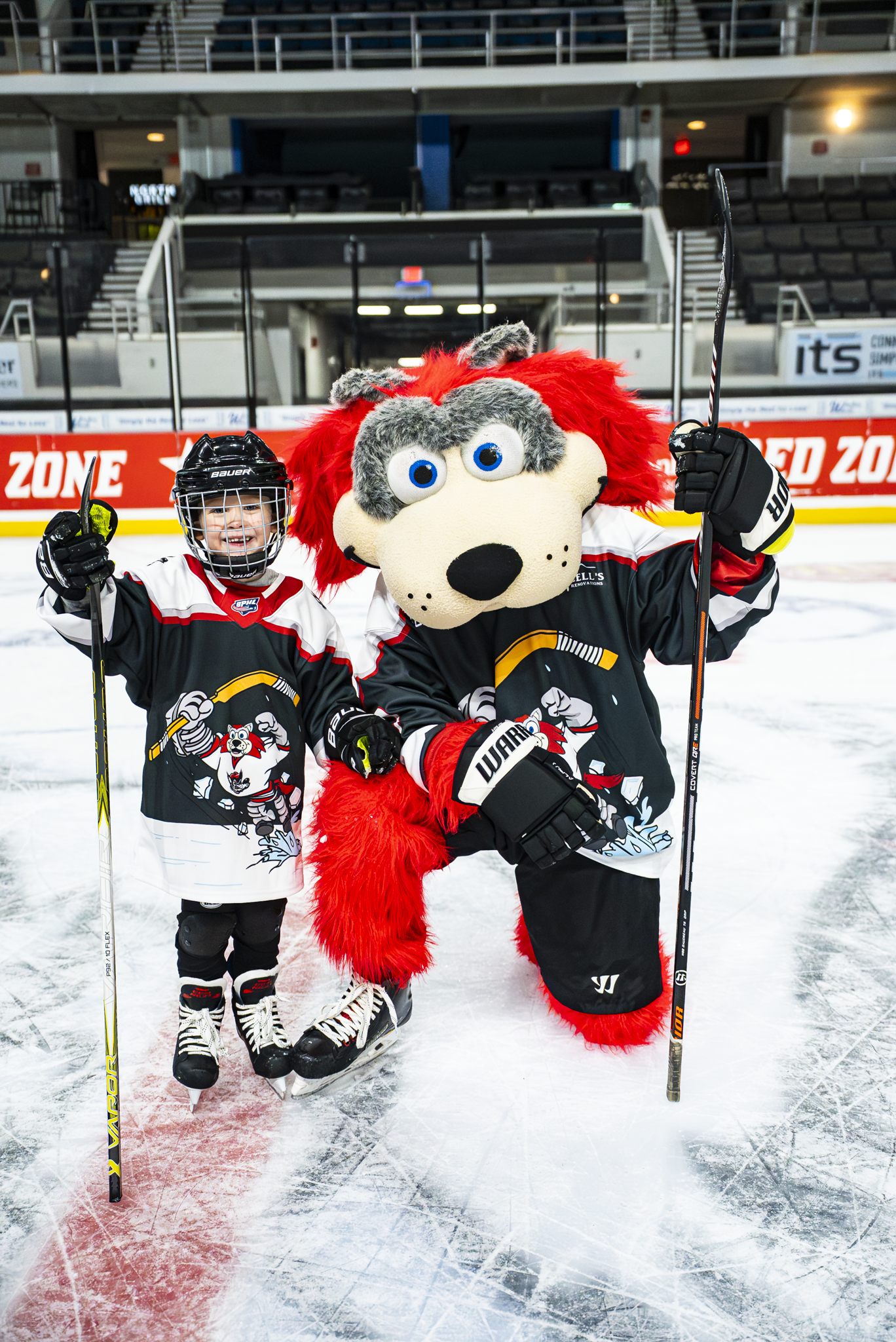 Chaos' Birthday Collection