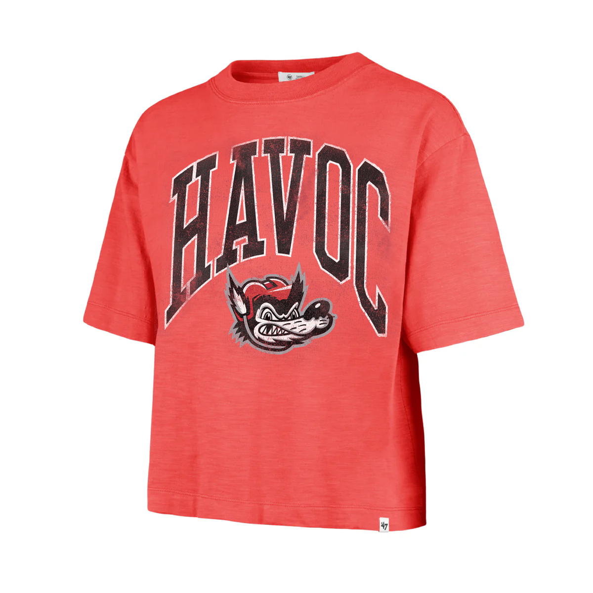 Havoc Crest Mindi '47 Washed Heavy Slub Women's Cropped T-Shirt