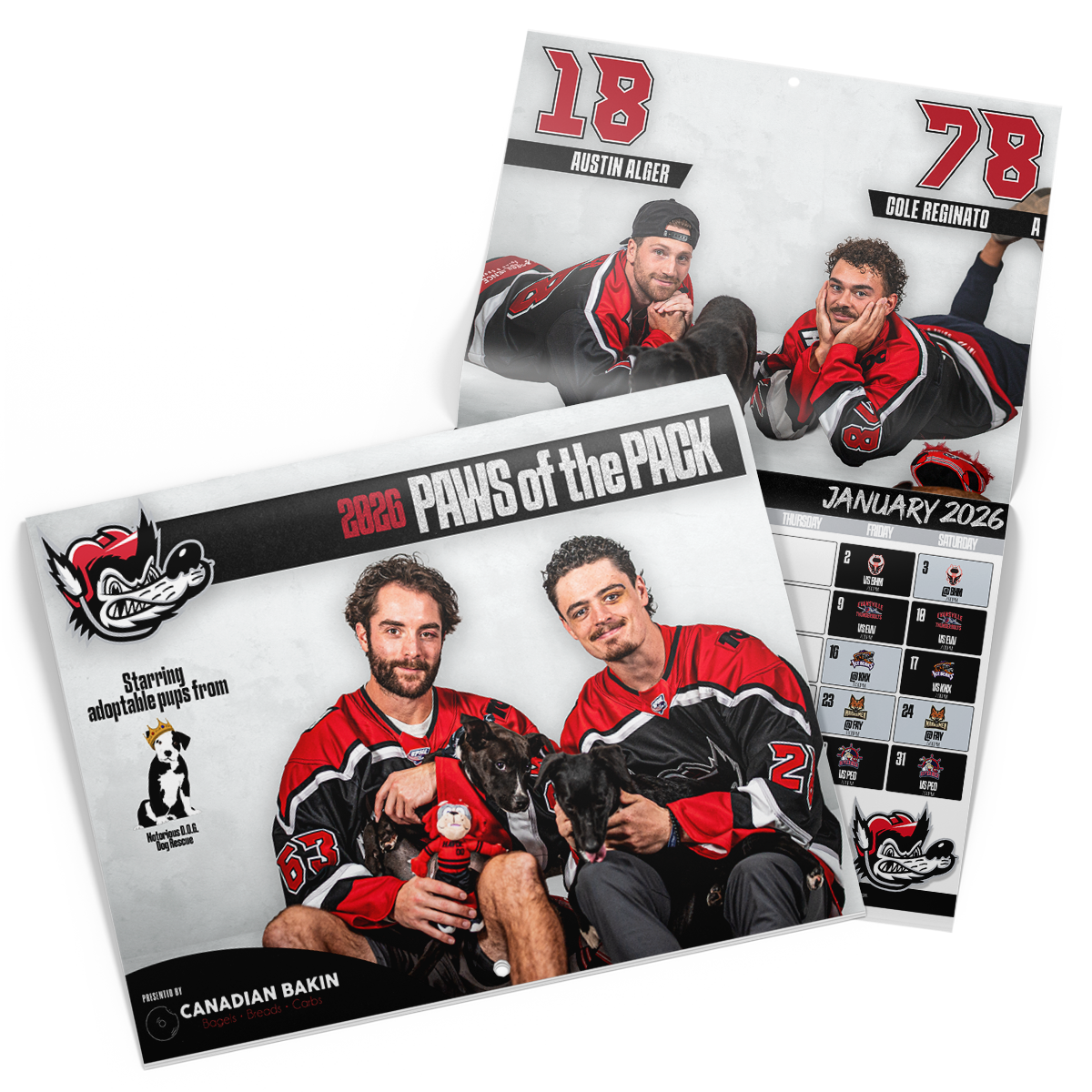 Paws of the Pack 2026 Calendar
