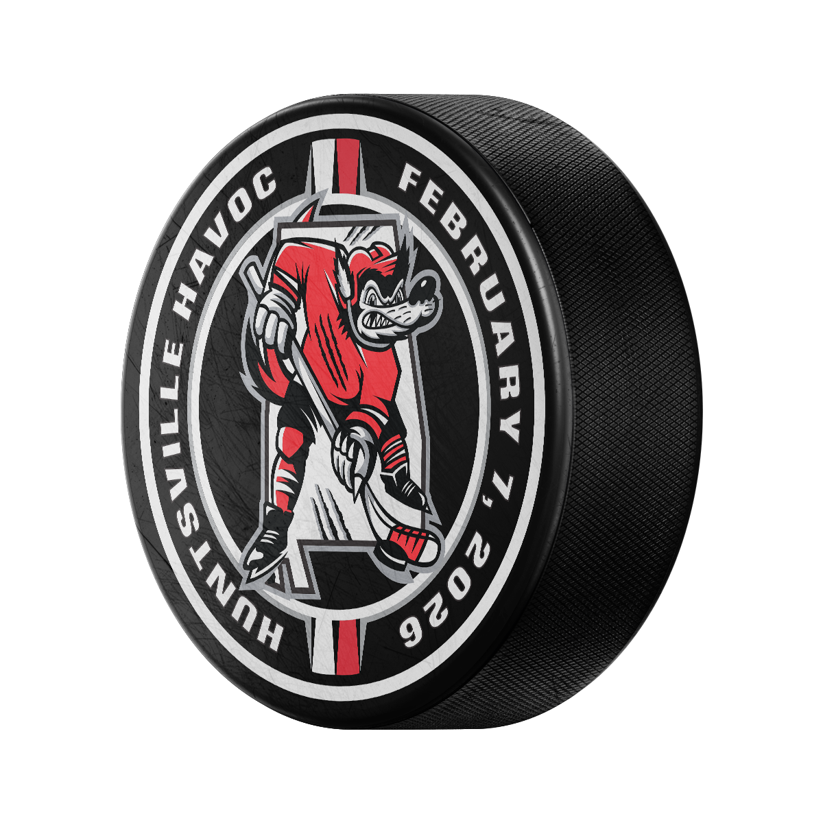 Team Poster Day Official Game Puck