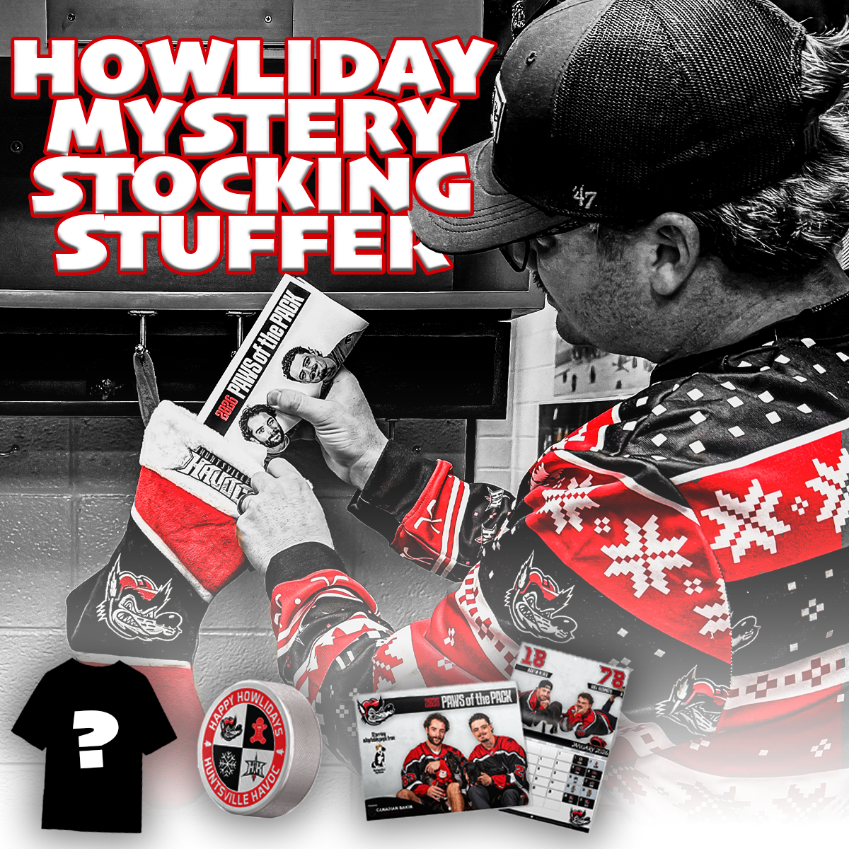 Howliday Mystery Stocking Stuffer